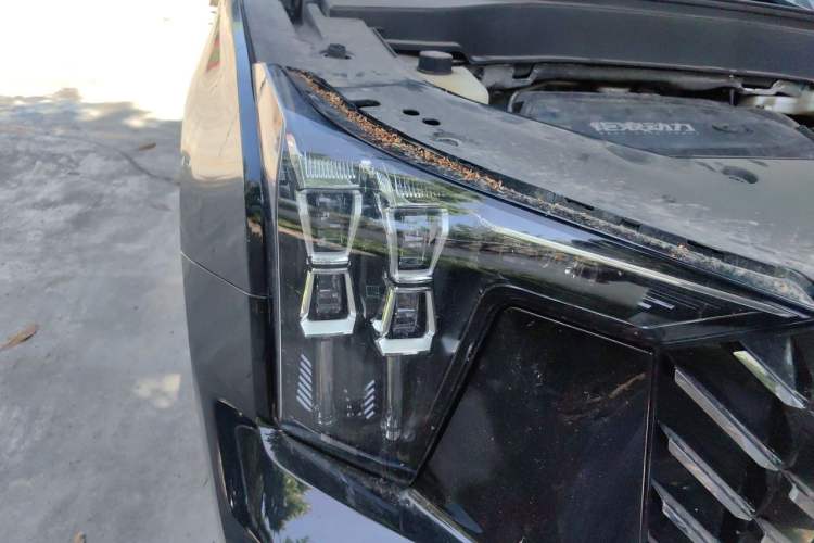 Used GAC Trumpchi GS8 2024 Linghang Series 2.0 TGDI Two-Wheel Drive Luxury Smart Connectivity Version