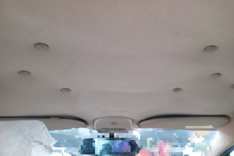 Used Citroen C-Quatre 2013 1.6L Manual Prestige CNG Model Headliner