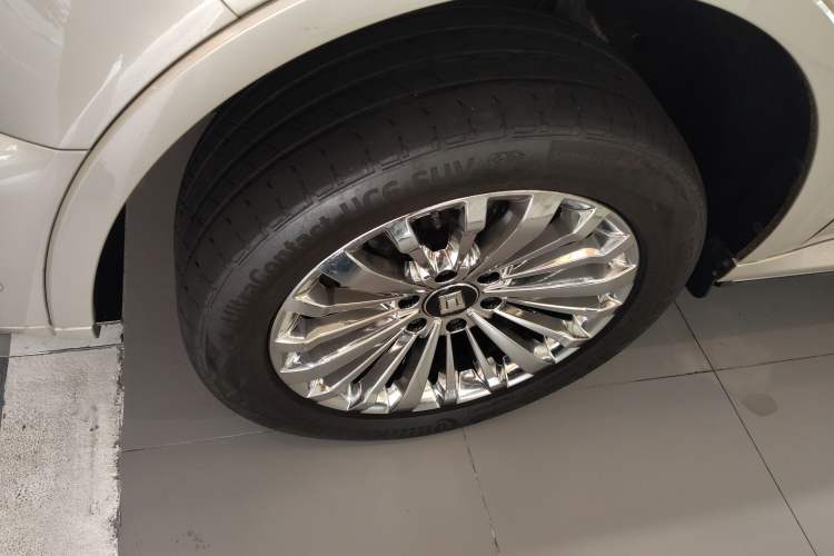 Used Tank 500 2022 3.0T High-End Custom Edition 5 Seats
