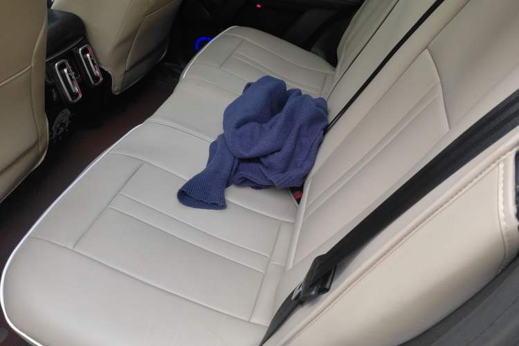 Used Haval DARGO 2024 2.0T DCT Chinese Rural Dog Edition Left Rear Seat