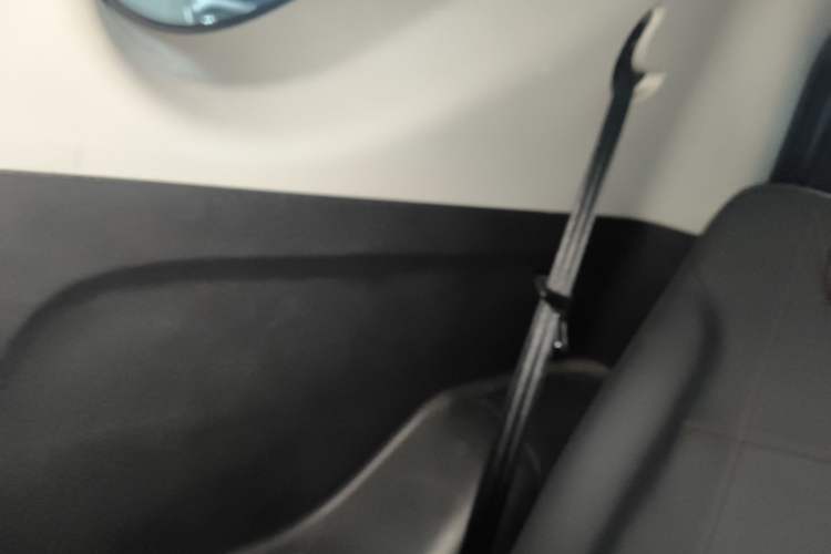 Used Chery New Energy Little Ant 2022 Revised Version Sweet Pink Edition Half-Sugar Version Lithium Iron Phosphate 30.7 kWh 30 kW 301 km