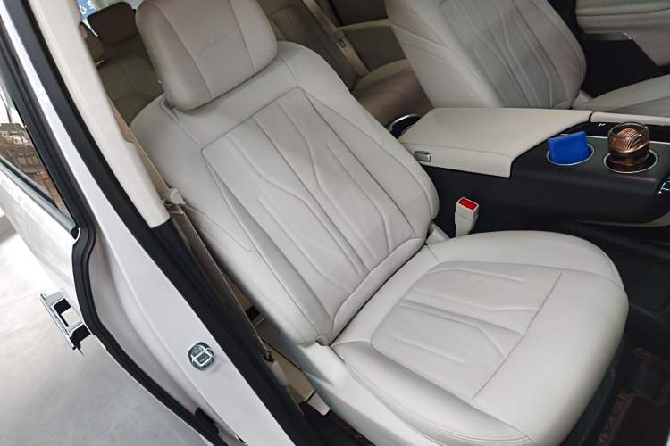 Used Buick GL8 New Energy 2024 Lu Zun Luxury Edition 7-Seater