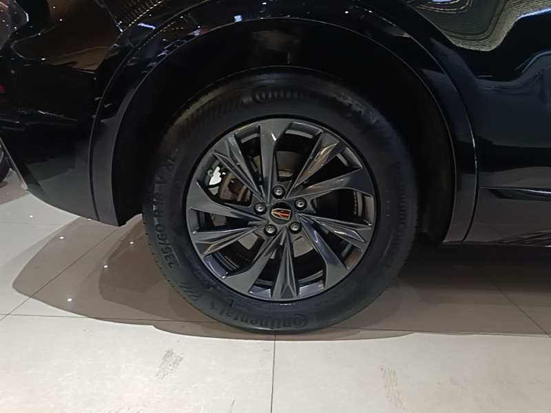 Used Hongqi HS5 2023 2.0T Qixiang Pro Edition — 25
