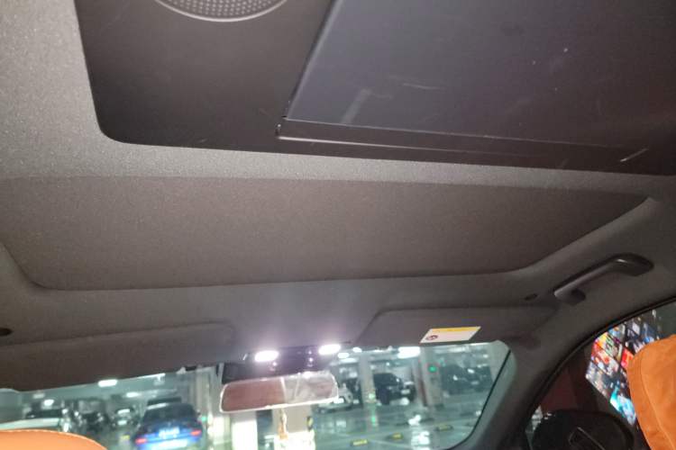 Used Li Auto L9 2023 Pro Model Headliner