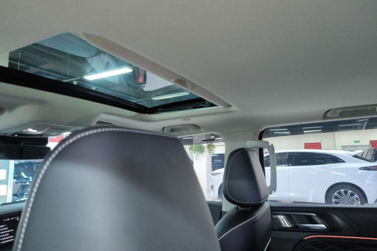 Used Tank 300 2024 2.0T Crosser