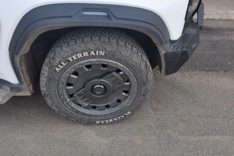 Used JETOUR Traveler 2025 2.0TD DCT Four-Wheel Drive Silver Dragon Wings Air
