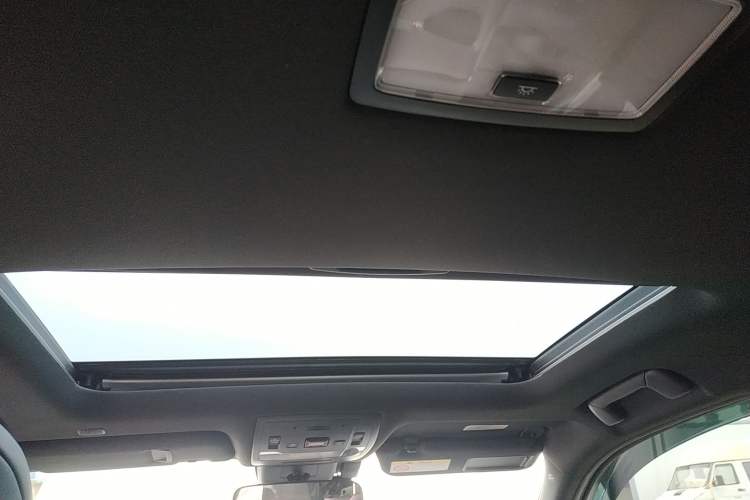 Used Lexus UX New Energy 2020 300e Pure·Joy Edition Headliner