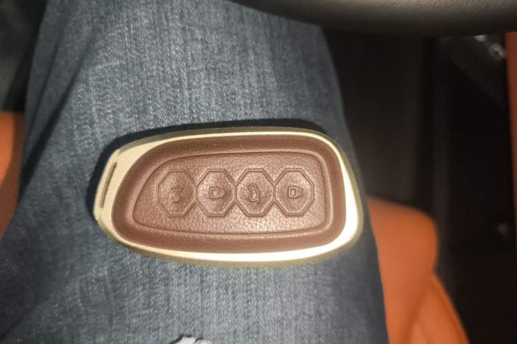 Used Haval H9 2024 2.0T Gasoline All-Wheel-Drive Extreme Edition