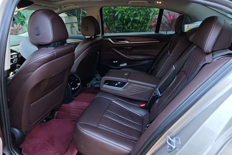 Used BMW 5 Series New Energy 2019 530Le Luxury Package