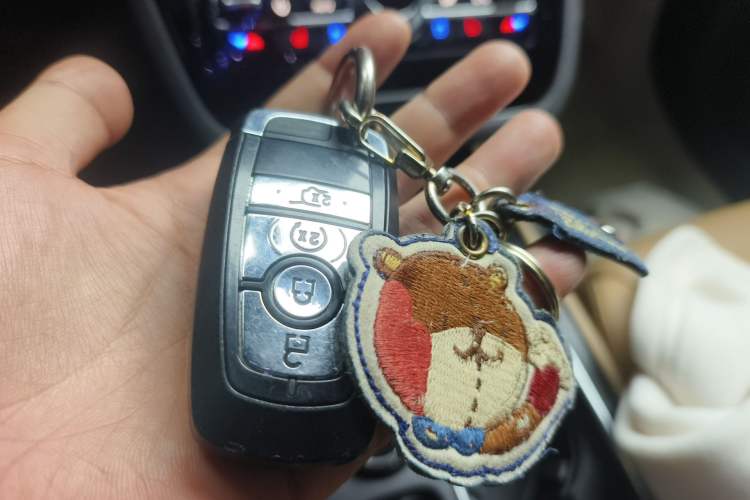 Used Lincoln Corsair 2022 2.0T Two-Wheel Drive Luxury Edition Vehicle Key