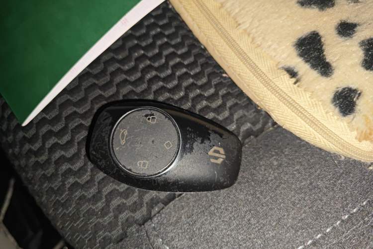 Used Leapmotor T03 2021 400 Lite Edition - Lithium-Ion Battery
