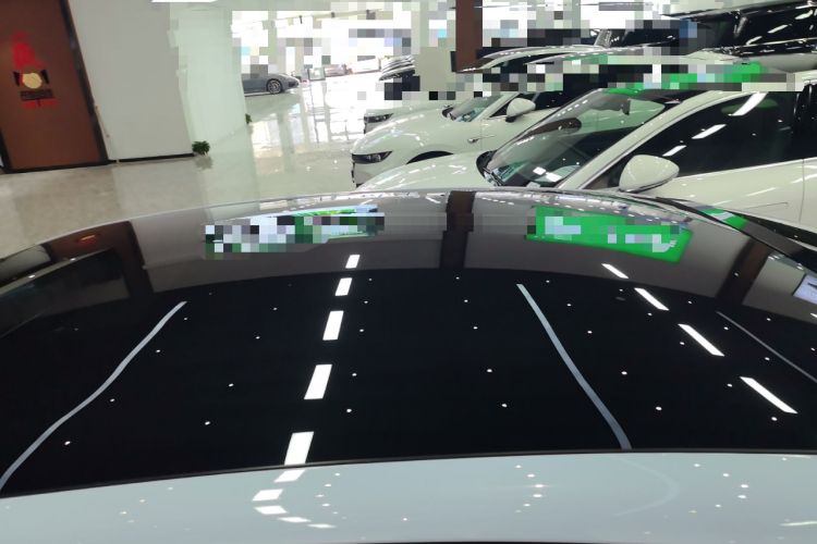 Used VOYAH PASSION 2023 Four-Wheel Drive Long-Range Version Roof