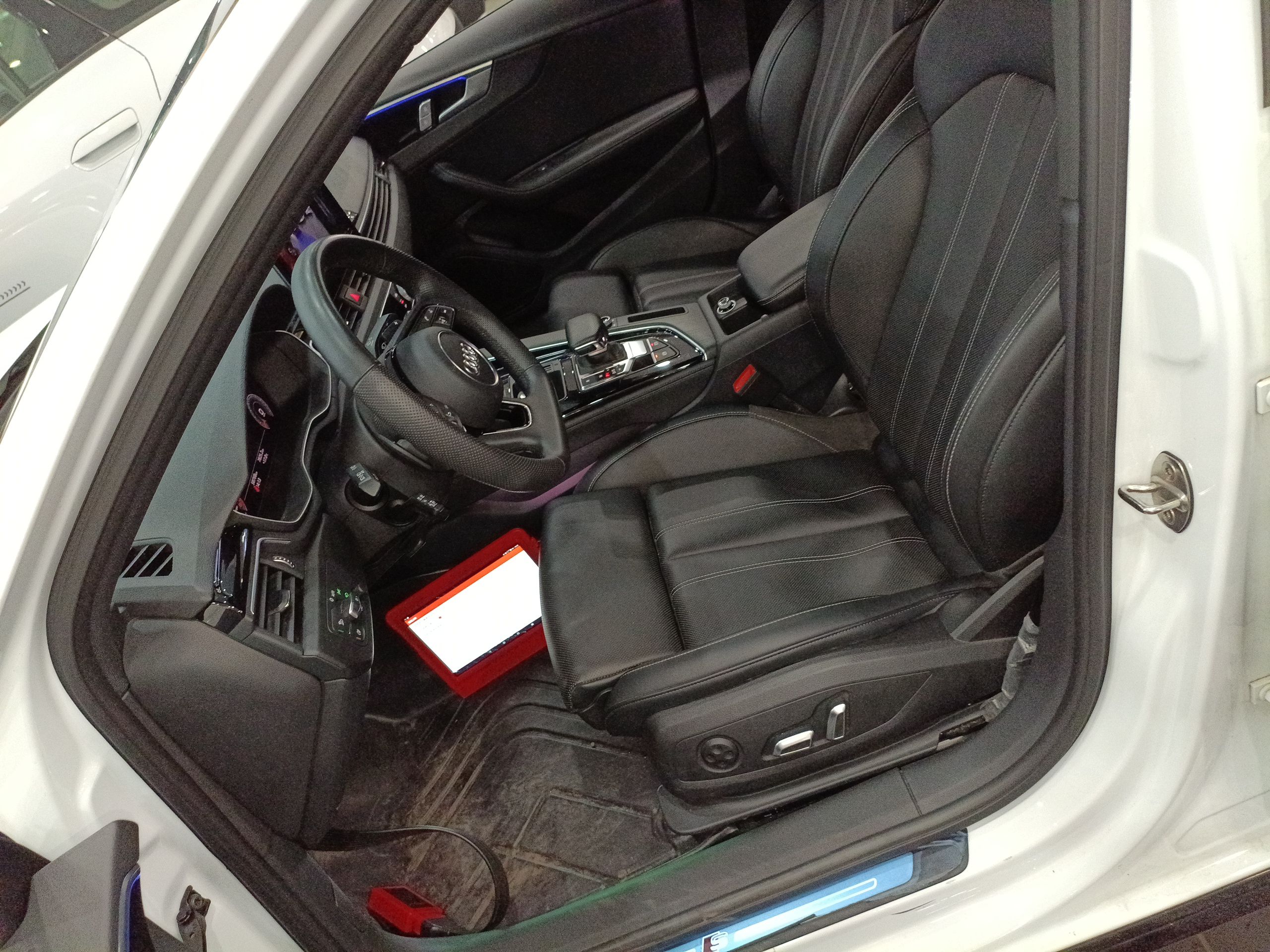 Interior delantero