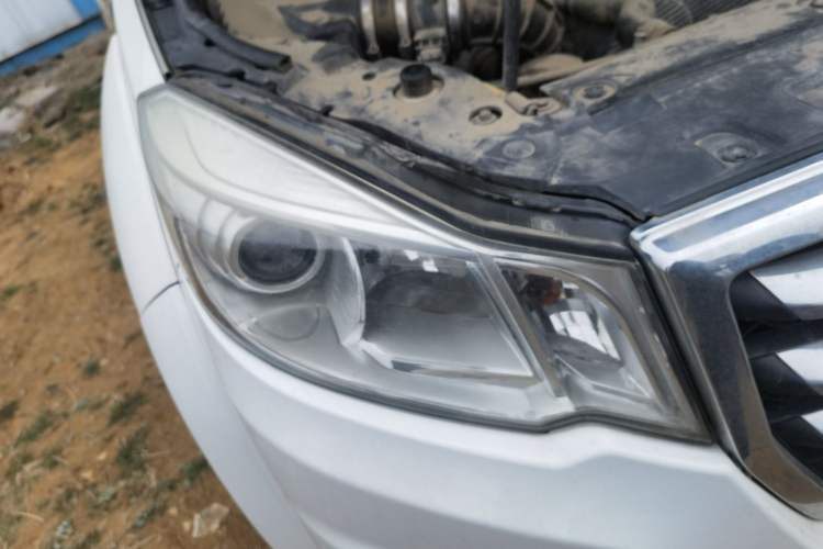 Used Great Wall Wingle 6 2014 2.0T Two-Wheel Drive Elite Version 4D20B