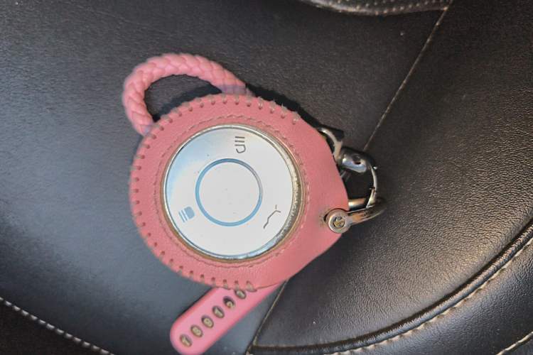 Used NETA V 2021 Long-Range Entertainment Edition Upgrade Model