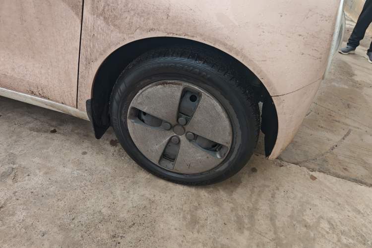 Used ORA Black Cat 2022 301km "Cute Pet" Version – Lithium Iron Phosphate Exterior 7