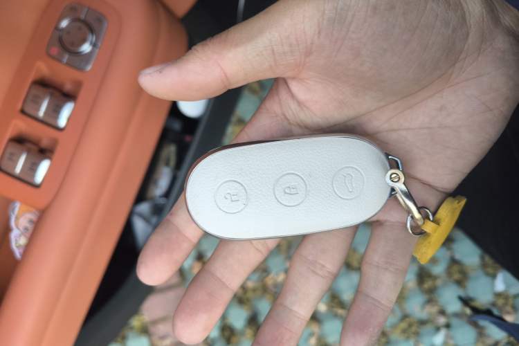 Used Li Auto L6 2024 Pro Model