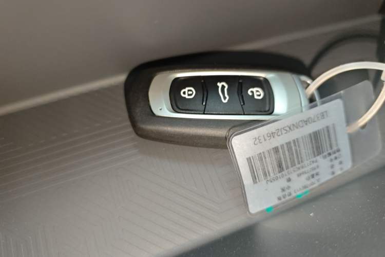 Used Geely Galaxy Panda 2024 Panda Mini 200km Endurance Bear