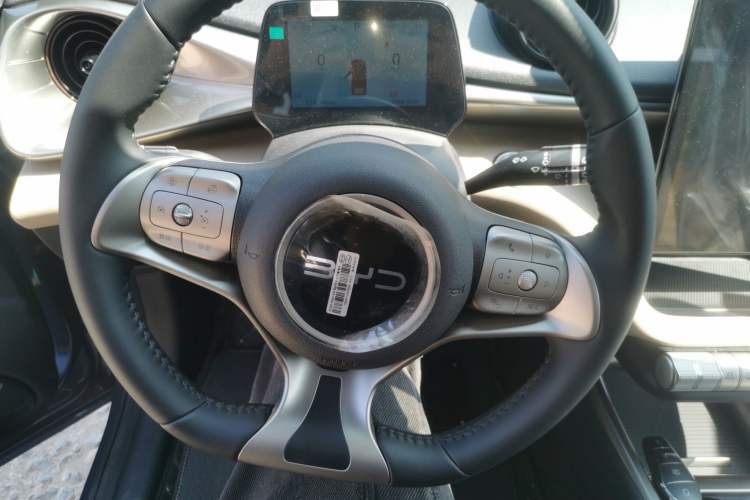 Used BYD Dolphin 2025 420km Free Edition Steering Wheel