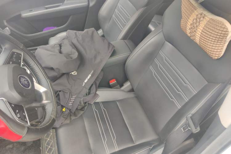 Used BYD Qin New Energy 2019 High-Range Deluxe Model Left Front Seat