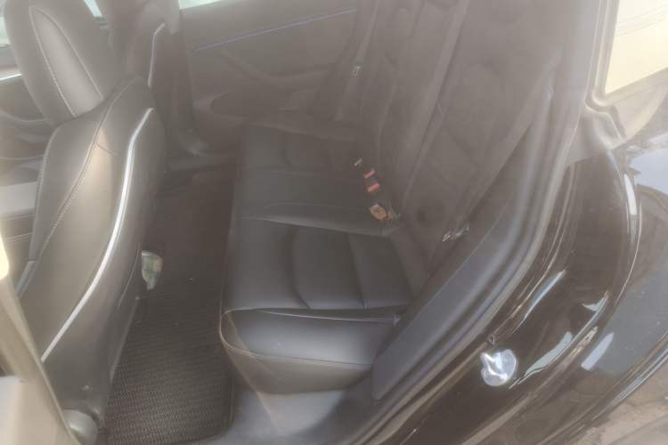 Used Tesla Model 3 2022 Rear-Wheel-Drive Version
