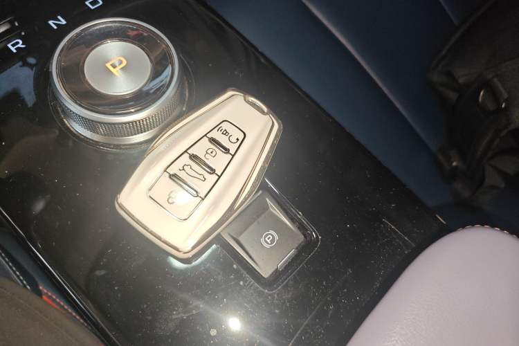 Used Geometry E Firefly 2022 401 km Linglong Tiger 4 Seats Vehicle Key