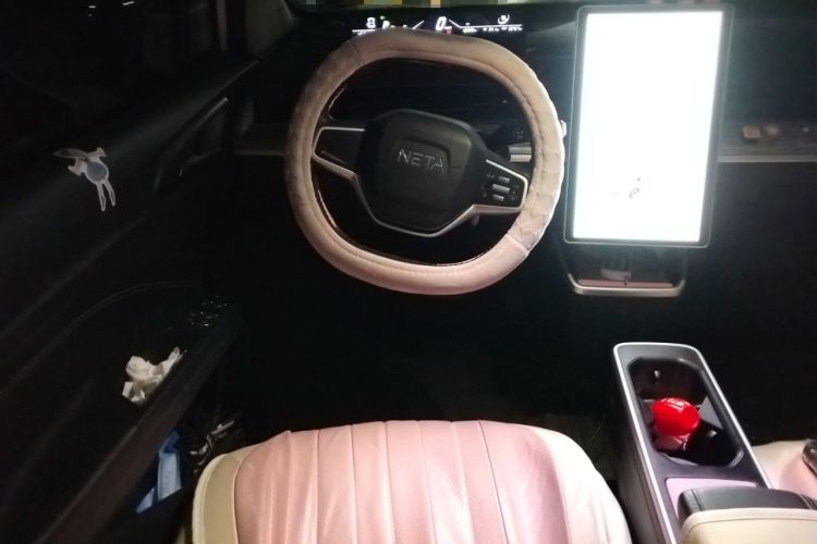 Used NETA V 2022 Chao 300 Lite Lithium Iron Phosphate