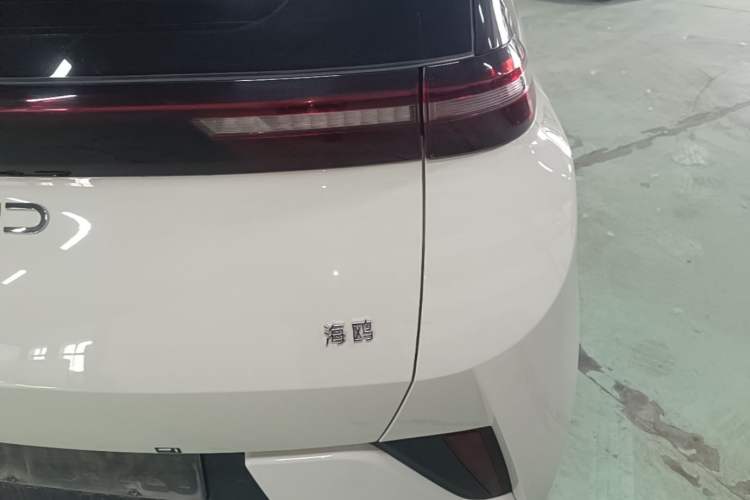 Used BYD Seagull 2025 Intelligent Driving Version 305 km Dynamic Edition Exterior 3