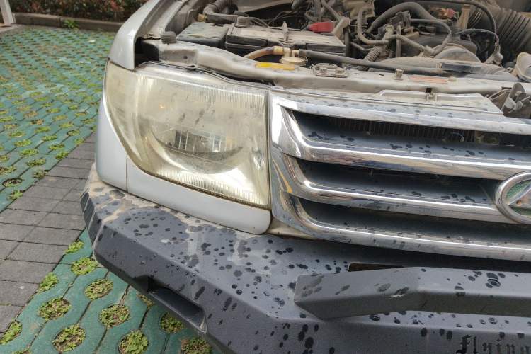 Used Leopaard Feiting 2009 2.0L 4x4 Luxury Edition