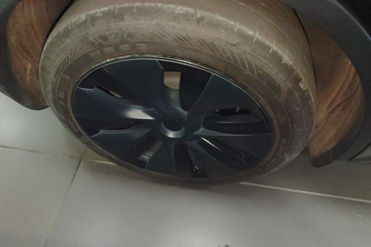 Used Tesla Model Y 2023 Rear-Wheel-Drive Version