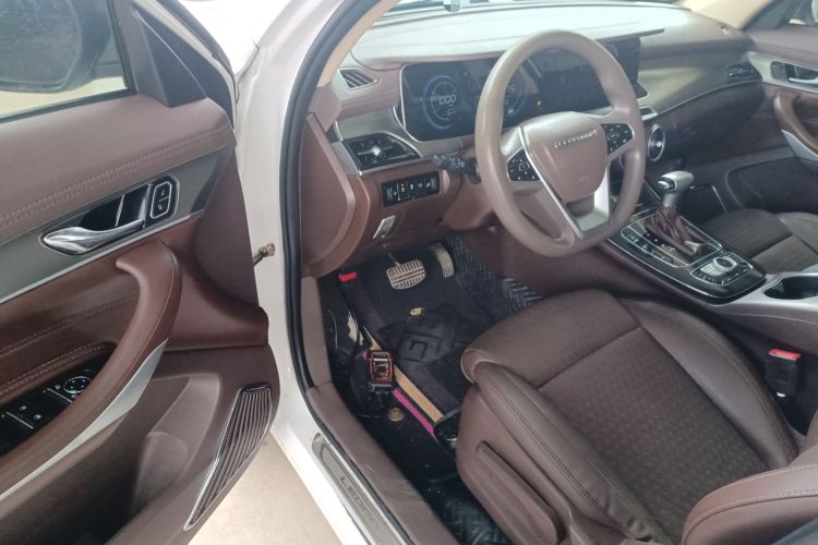 Used Leopaard Mattu 2018 1.6T GDI DCT Comfort Model Driver Seat