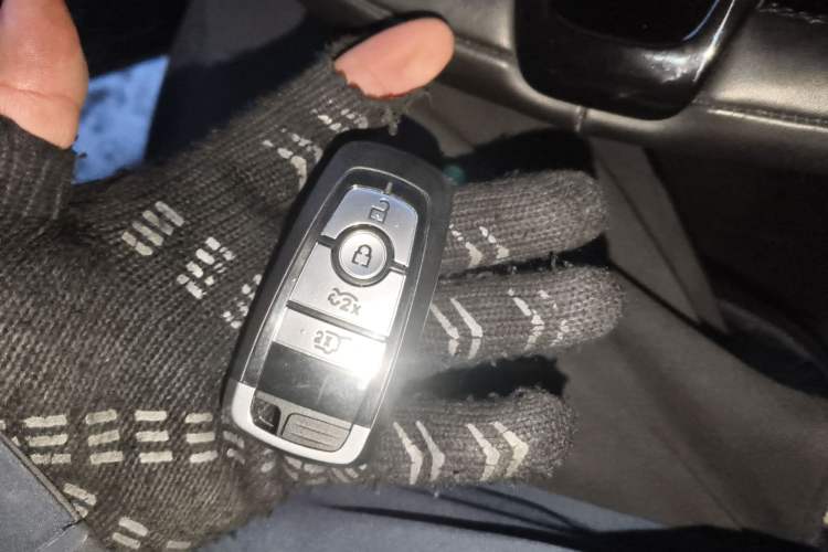 Used Ford Mustang Mach-E 2021 AION Y Plus Rear-Drive Luxury Edition (Long Range)
