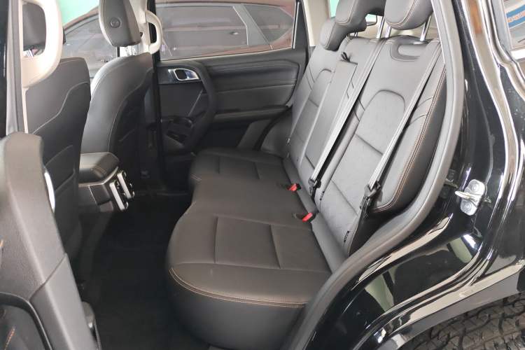 Used Haval DARGO 2024 2.0T DCT Chinese Rural Dog Edition Left Rear Seat