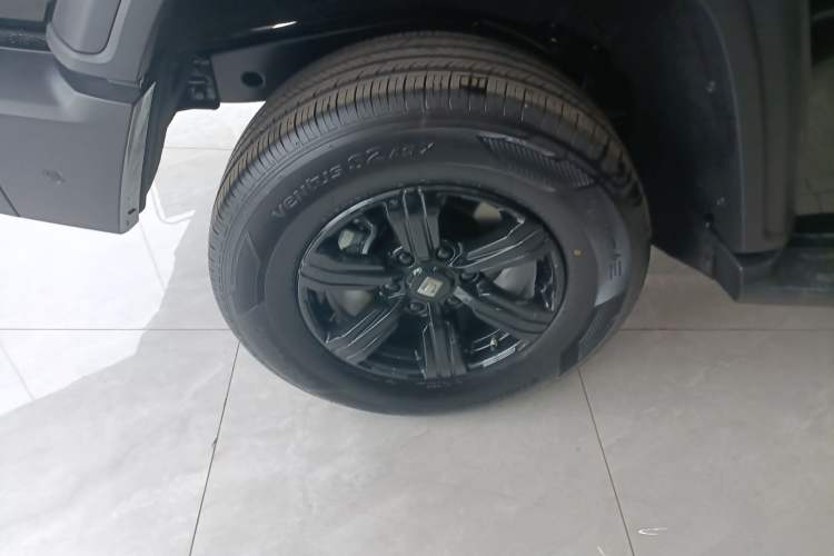 Used Tank 300 2025 2.4T Diesel Version