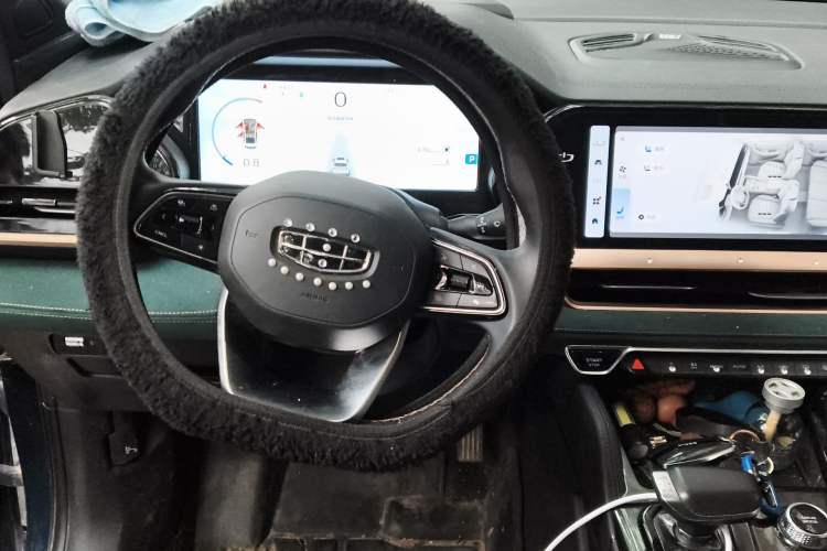 Used Geely Auto Monjaro L 2021 2.0TD DCT EVO Two-Wheel Drive Prestige Version Steering Wheel