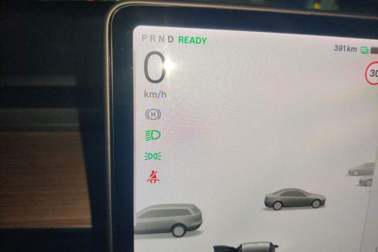 Used Tesla Model 3 2021 Standard Range Rear-Drive Upgraded Version
