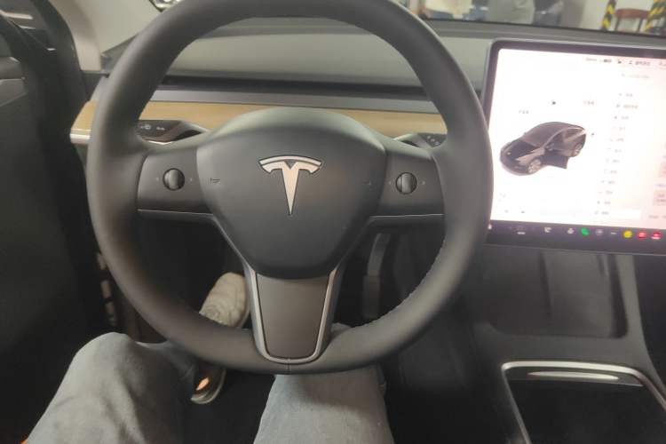 Used Tesla Model Y 2021 Standard Range Rear-Wheel Drive Version
