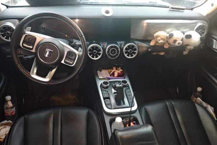 Used Tank 300 2021 2.0T Wind & Forest Iron Rider
