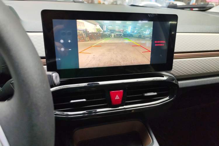 Used SOL E10X 2022 Flower Fairy Design Four-Leaf Clover