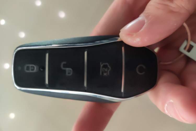 Used BYD Yuan UP 2025 Model 301KM Leading Version
