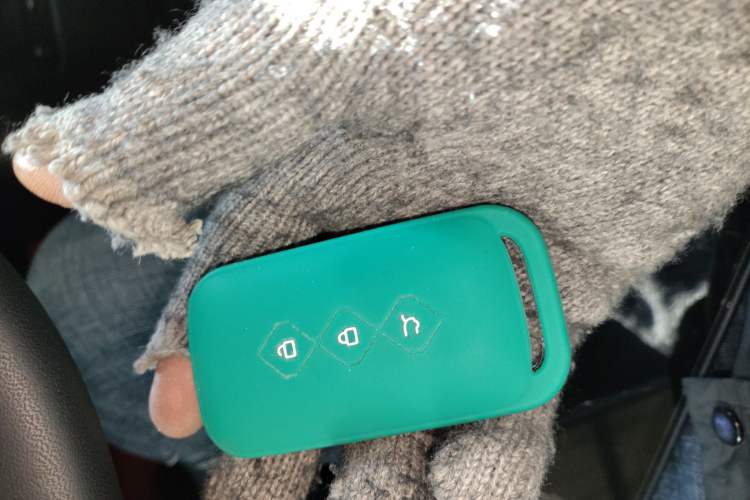 Used Wuling Xingguang S 2024 130 km Flagship Version