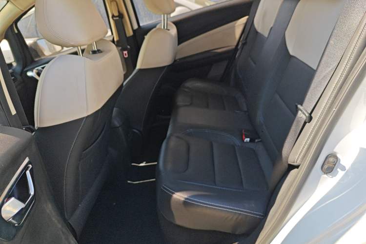 Used Livan Maple 30X 2020 Style Edition
