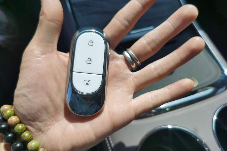 Used Leapmotor C11 2024 Range-Extended 300 Luxury Edition