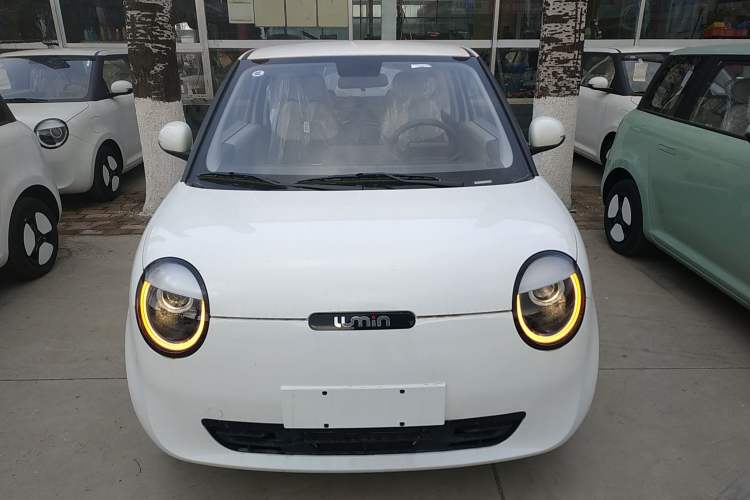 Used Qiyuan Lumin 2025 205 km Xiangqin Version
