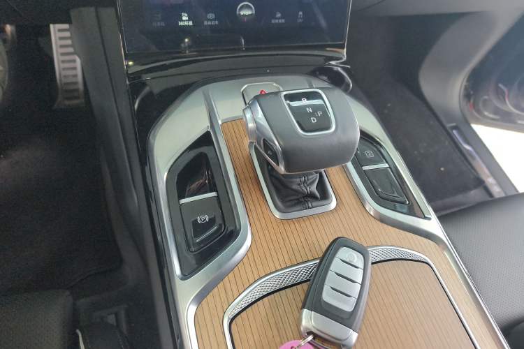 Used Hongqi E-HS9 2021 460 km Range Flagship Edition Six-Seater
