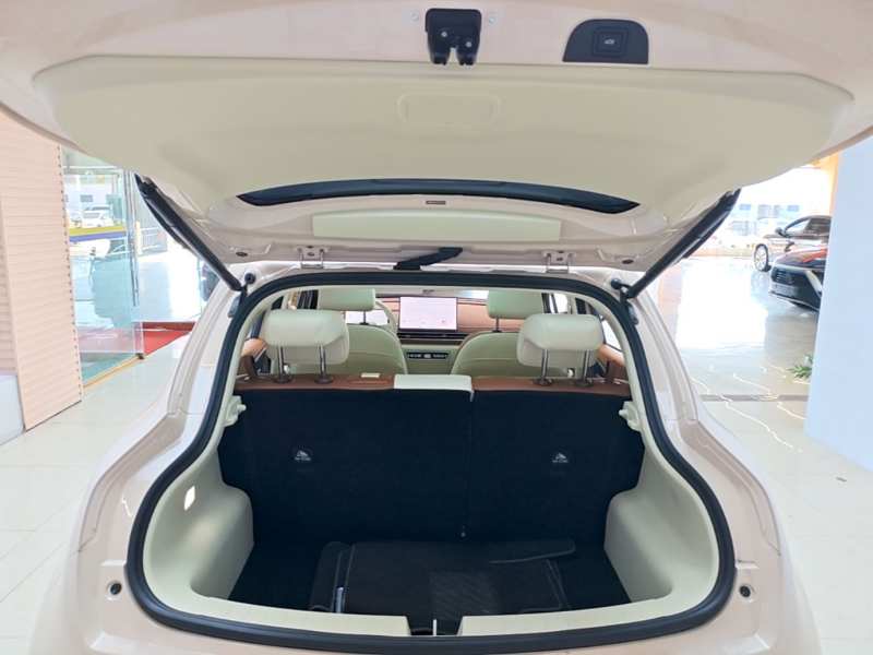 Used ORA Good Cat 2025 Model, 430 km Prestige Version — 18