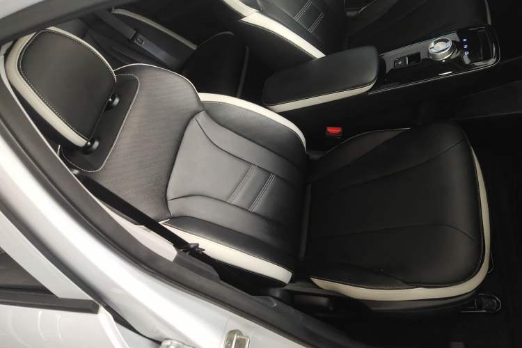 Used Geometry E Firefly 2023 401KM Linglong Tiger 5-Seater