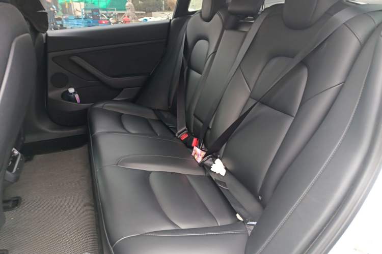 Used Tesla Model 3 2021 Standard Range Rear-Wheel Drive Upgraded Version 3D6