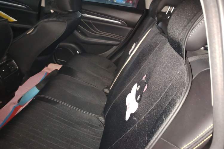 Used Haval F7x 2019 1.5T Two-Wheel Drive Intelligent Technology Edition Left Rear Seat