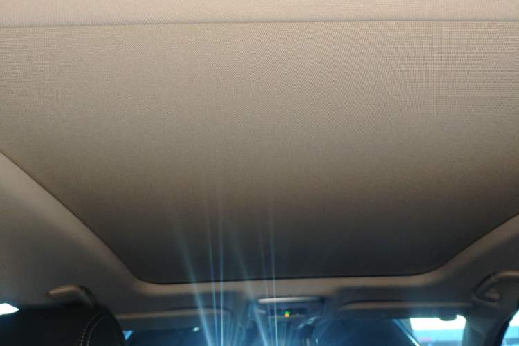 Used Hongqi H9 2024 2.0T Qichang Private Enjoyment Luxury Edition